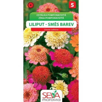 Semienka Zínia pomponkovitá Liliput, zmes farieb (Zinnia elegans)