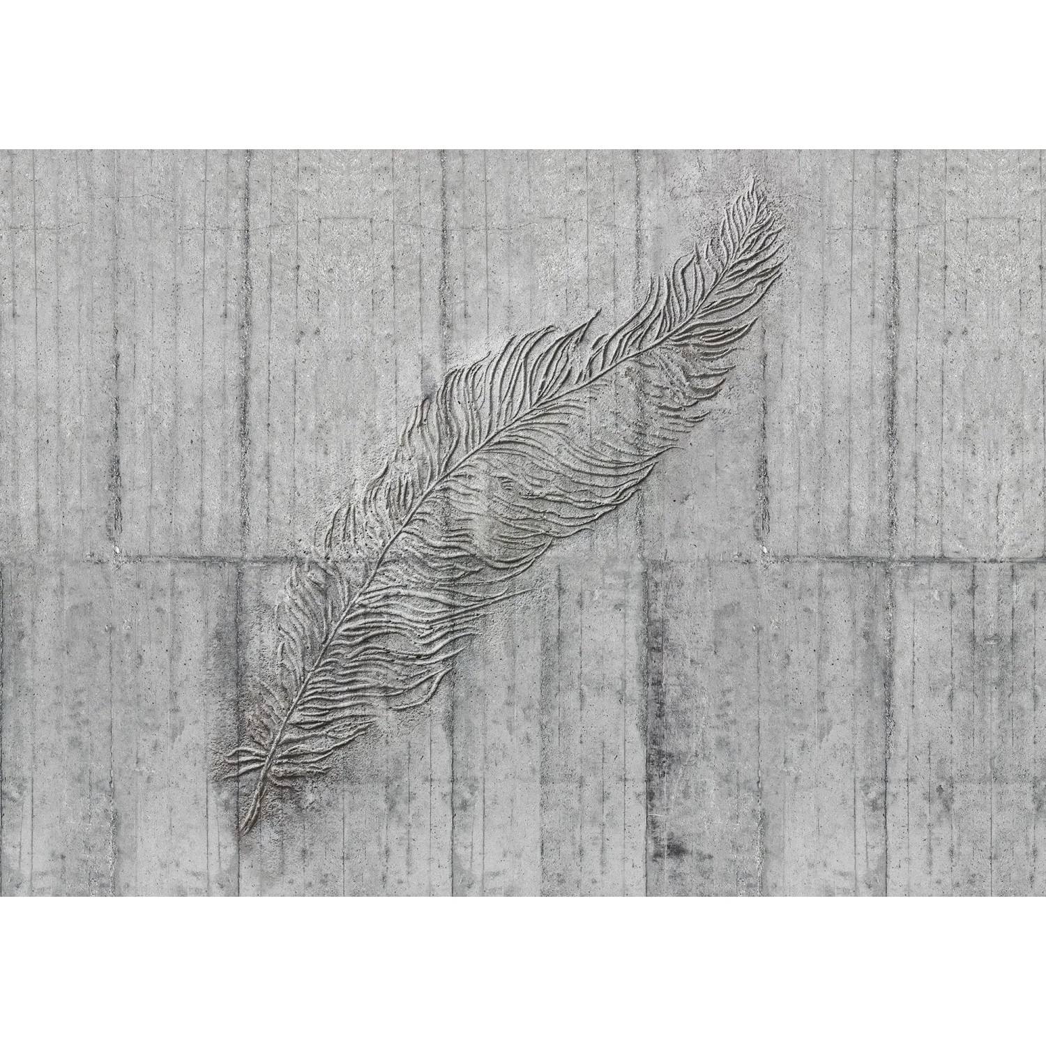 E-shop Komar Vliesová fototapeta Concrete Feather 350 x 250 cm