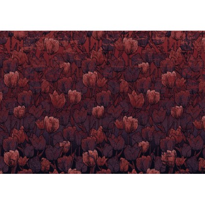 Komar Vliesová fototapeta Tulipe 400 x 280 cm