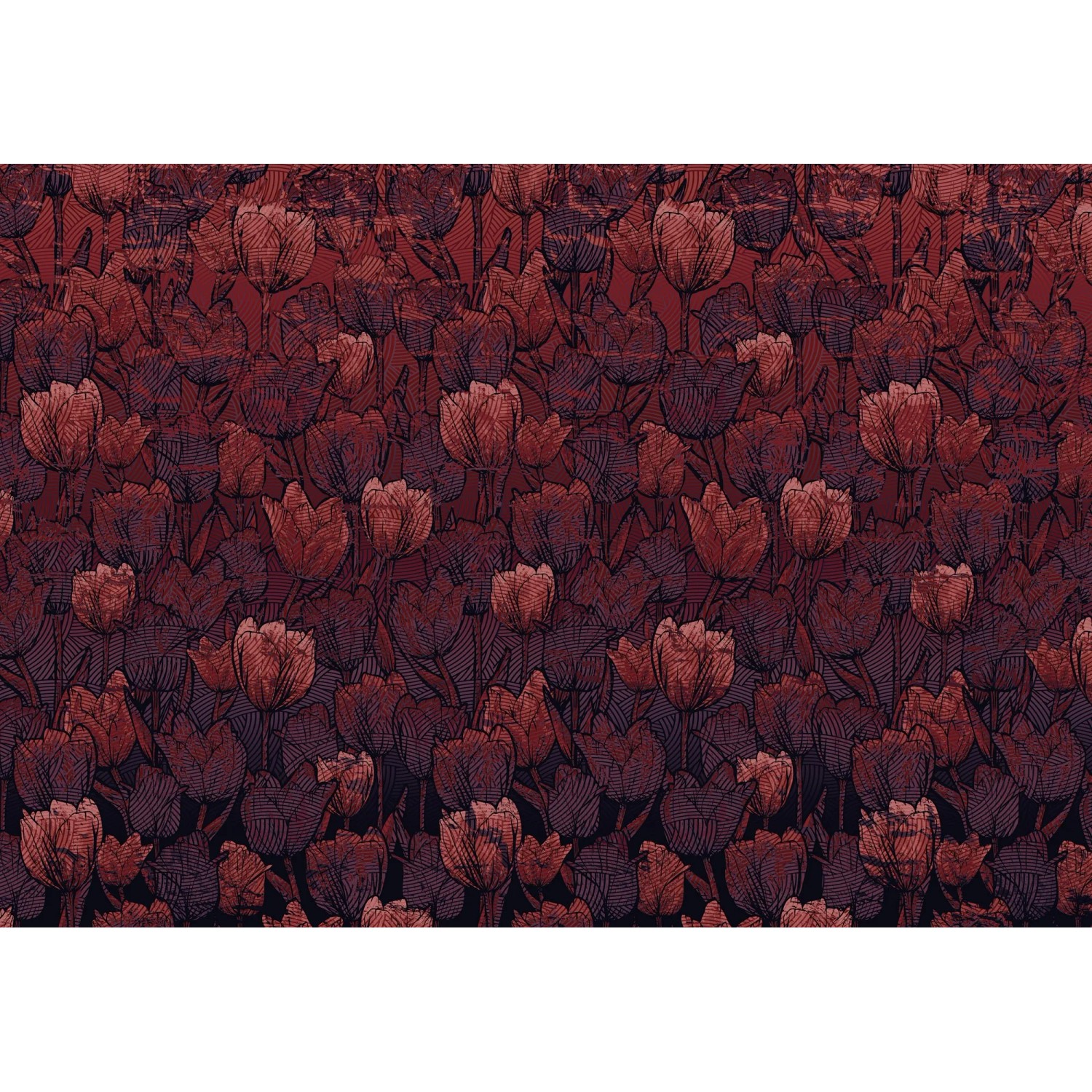 E-shop Komar Vliesová fototapeta Tulipe 400 x 280 cm