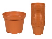 Kvetináč Classic Tod terakota, pr. 6 cm, 20 ks