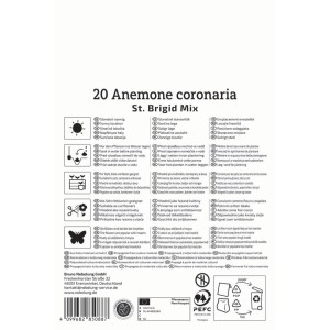 Biele balenie 20 cibuliek veternice vencovej St. Brigid Kiepenkerl. Zobrazuje info a ikony pre záhradu a kvetináče.