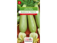 Semienka Tekvica cuketa Bianca di Trieste (Cucurbita pepa noc. giromontiina)