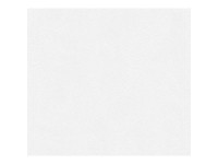 A. S. Creation Pretierateľná vliesová tapeta Meistervlies Creativ biela 307271