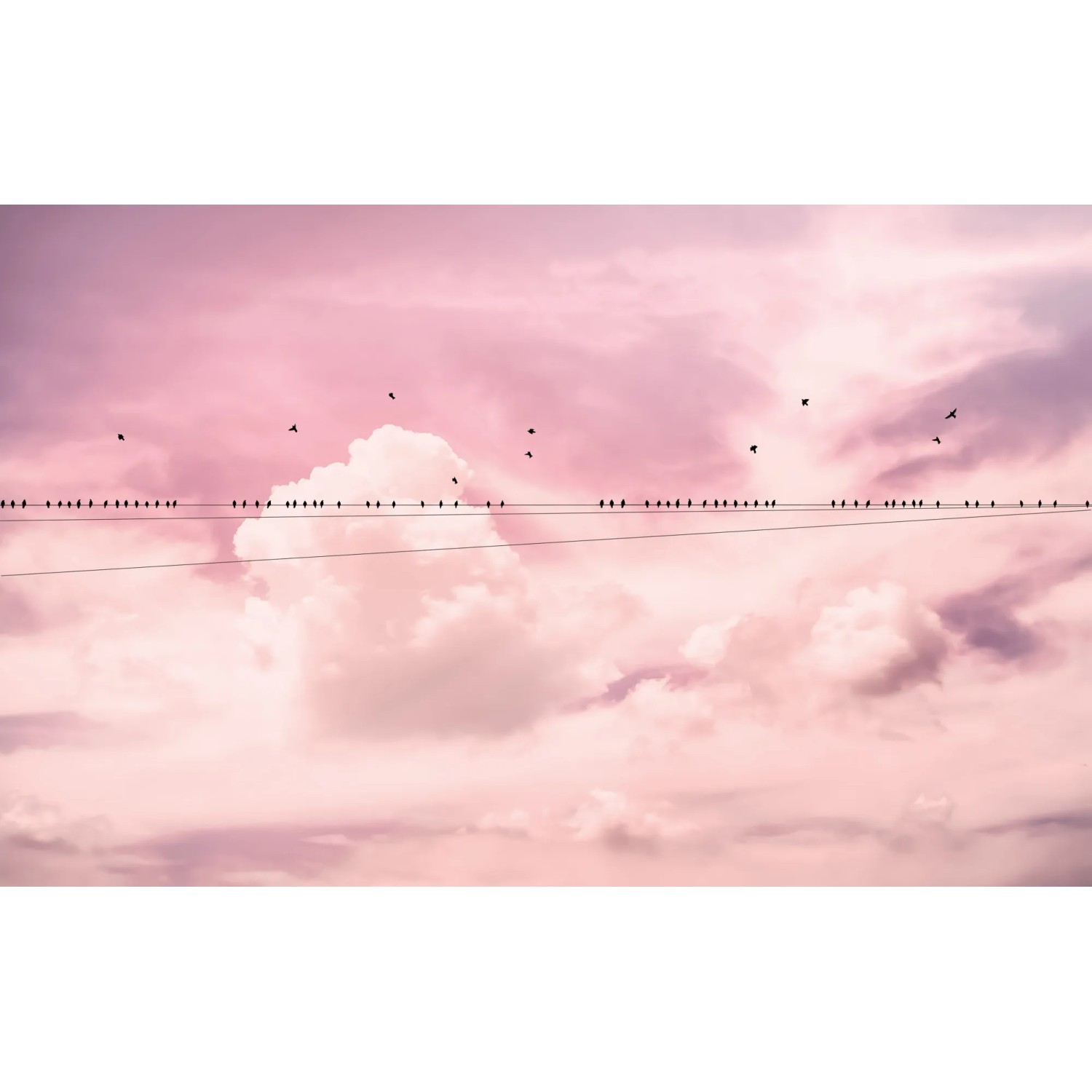 E-shop Komar Vliesová fototapeta Cloud Wire 400 x 250 cm