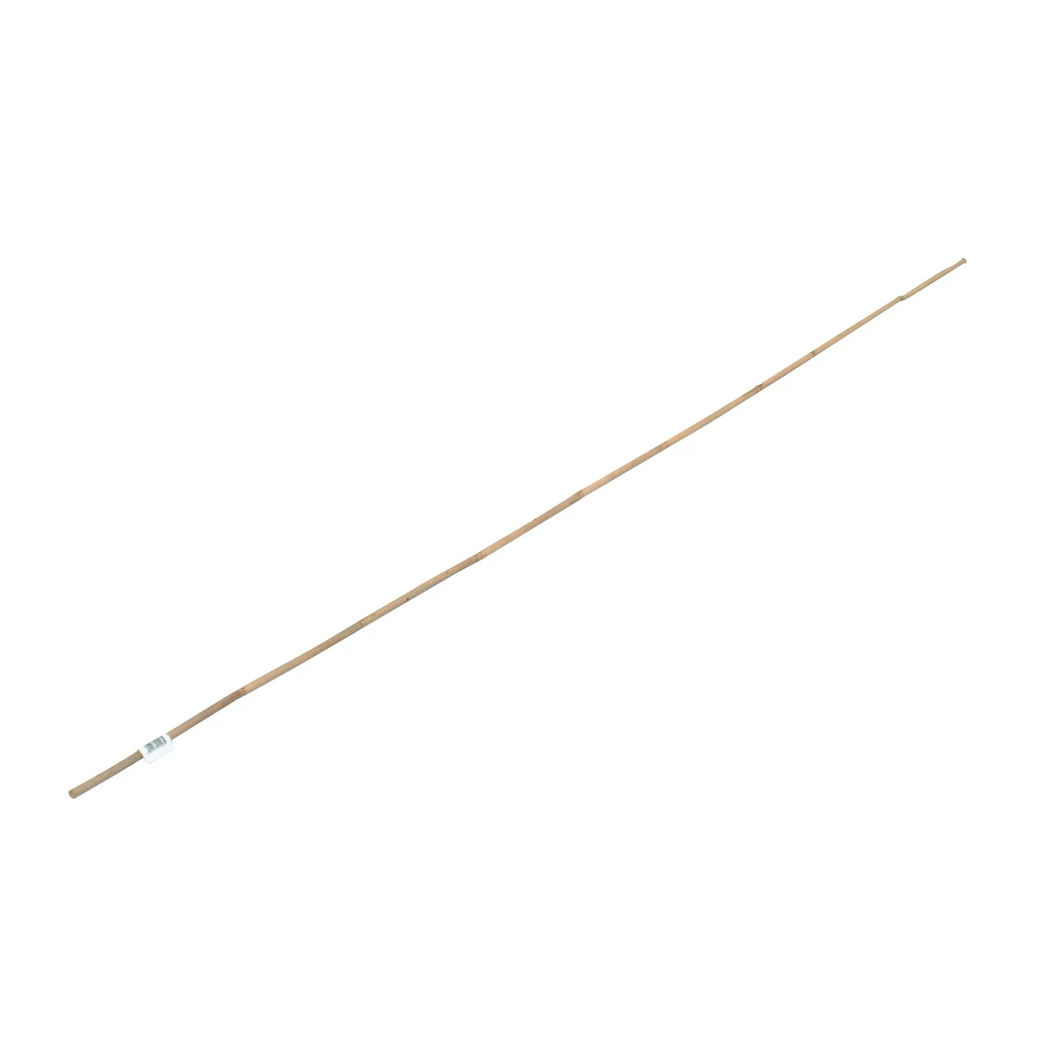 E-shop OBI Bambusová tyč 60 cm x pr. cca 0,5 cm