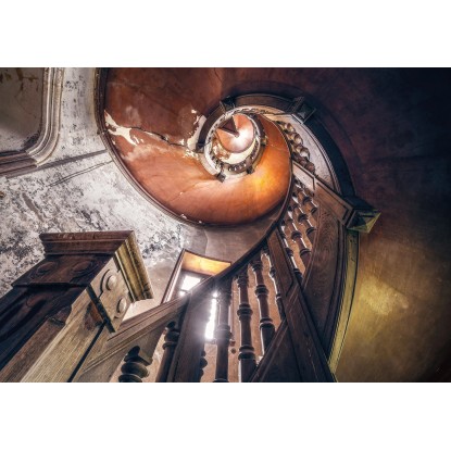 Komar Vliesová fototapeta Oak Spiral 400 x 280 cm