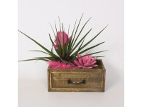 Rastlinný aranžmán v drevenej nádobe priemer kvetináča cca 23 cm