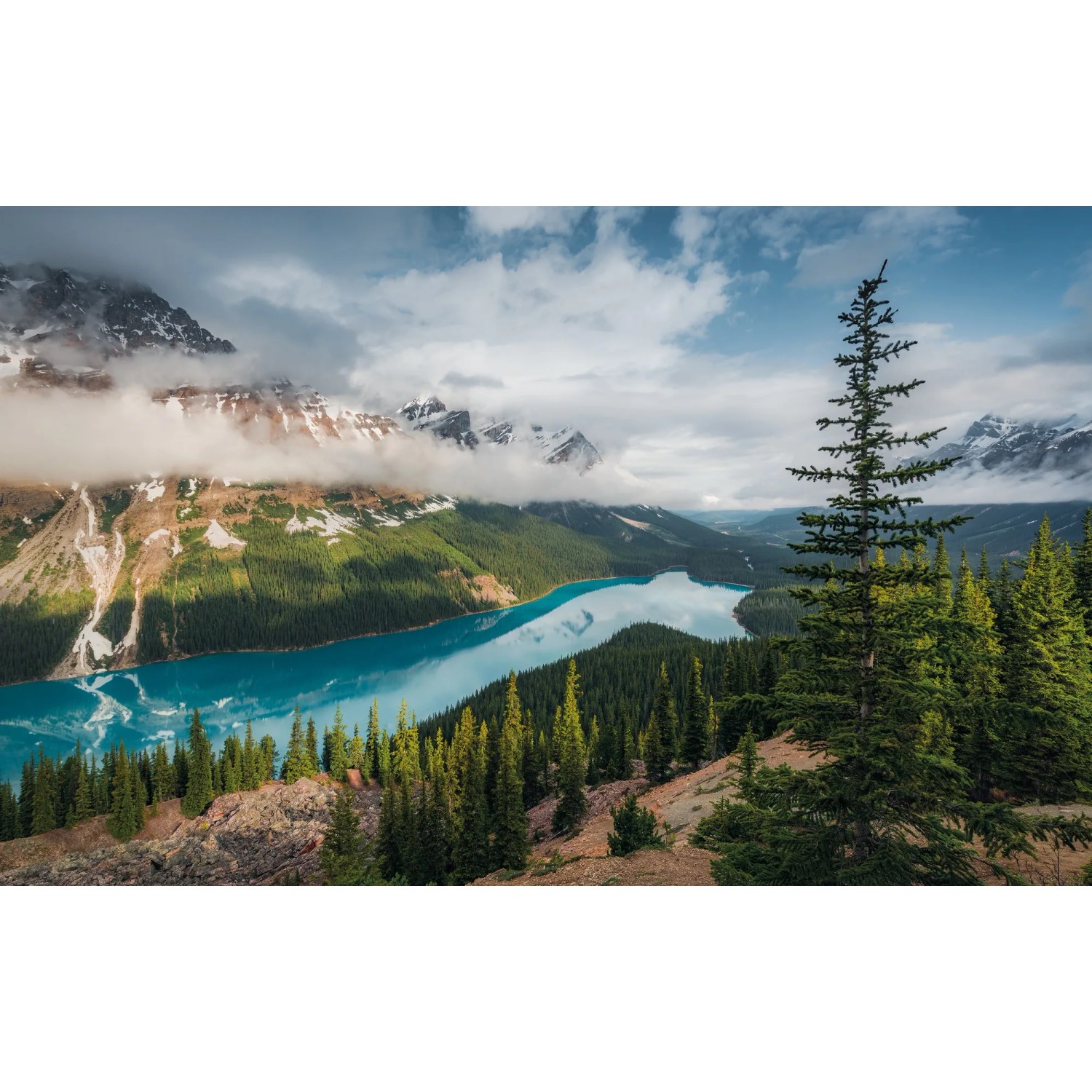 E-shop Komar Vliesová fototapeta Wonderland Canada 450 x 280 cm