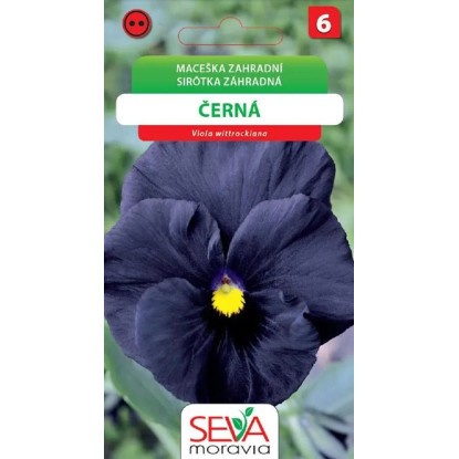 Aros Semienka Sirôtka záhradná čierna (Viola wittrockiana)