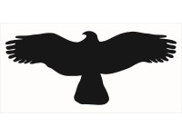 Samolepka Silueta dravca 200 mm x 80 mm