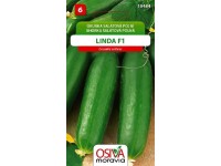Semienka Uhorka šalátová poľná Linda F1 (Cucumis sativus)