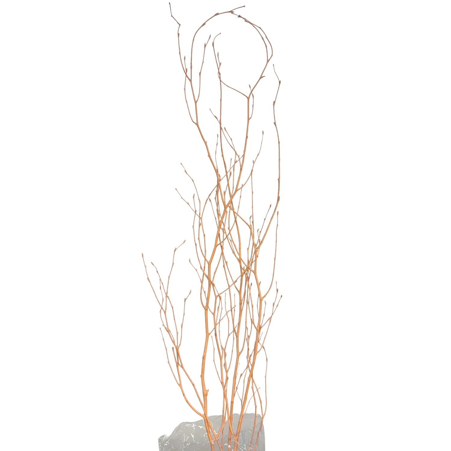 E-shop Star Home Decor Brezové vetvičky zväzok Betula pastelovo oranžové 110cm