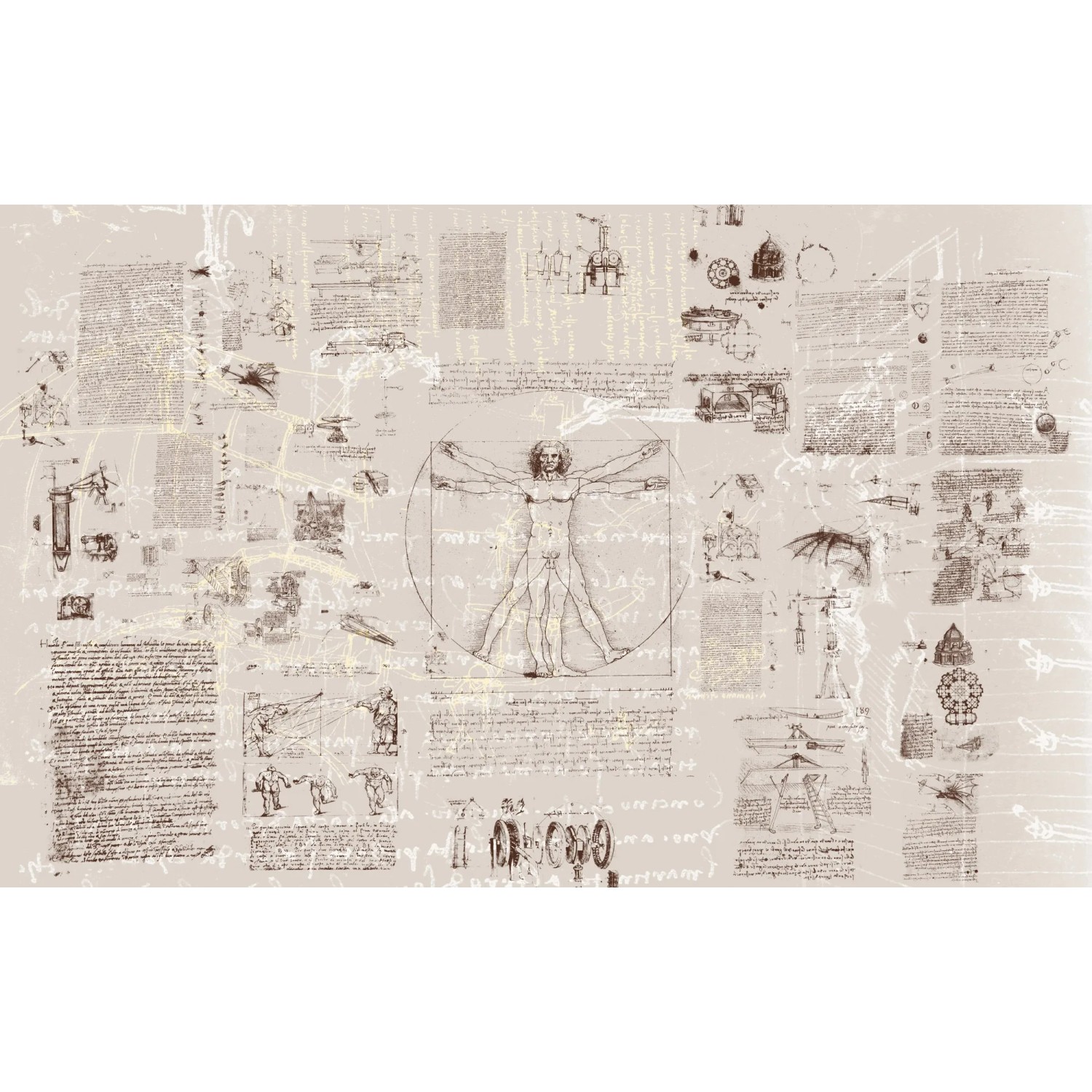 E-shop Komar Vliesová fototapeta Da Vinci 400 x 250 cm