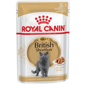 Royal Canin British Shorthair Adult mokré krmivo pre mačky, 85g kapsička.