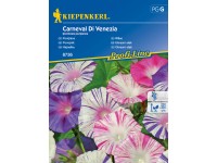 Kiepenkerl Povojnica Carneval Di Venezia