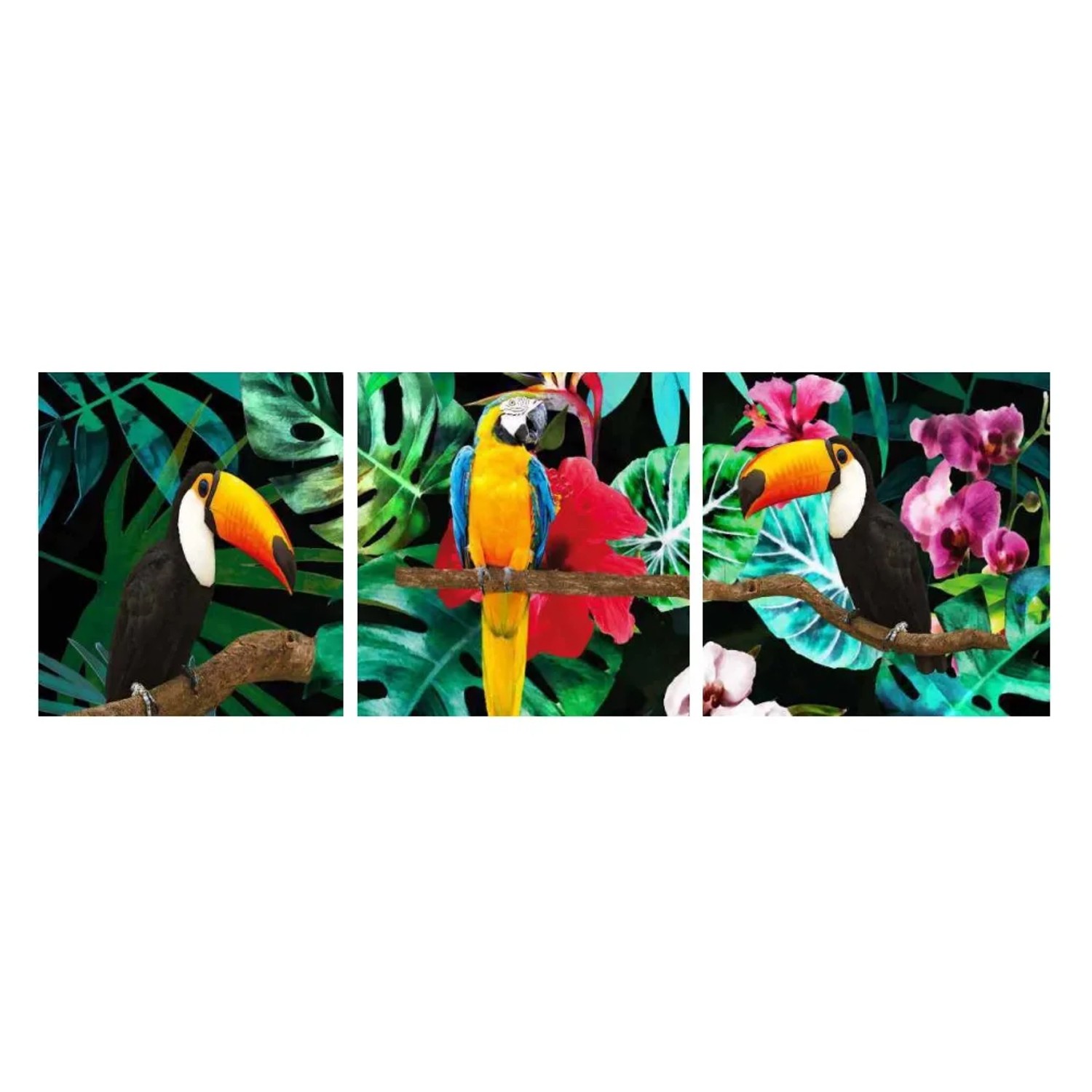 E-shop Bondecor 3dielna súprava obrazov Jungle 30 x 90 cm