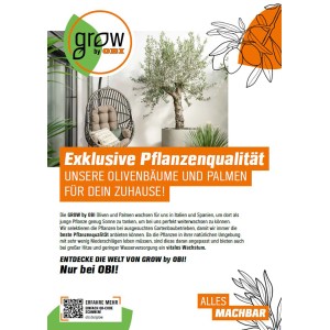GROW by OBI Palmový mix, rôzne druhy paliem v kvetináči, výška 60-80 cm.