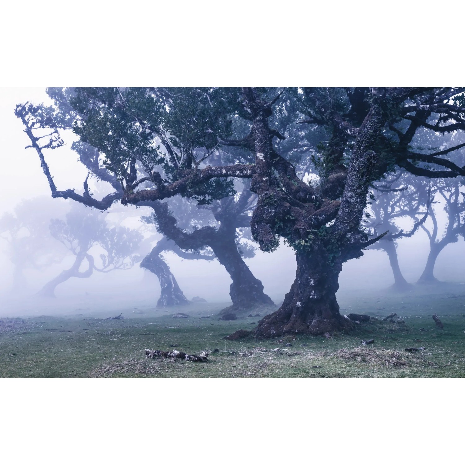 E-shop Komar Vliesová fototapeta Ghost Line 400 x 250 cm