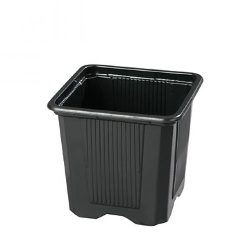 Nursery Per Pesci Vivipari Haquoss Con Coperchio - Vasca Parto 17x8x7.8cm Trasparente Per Acquario - Foto 7