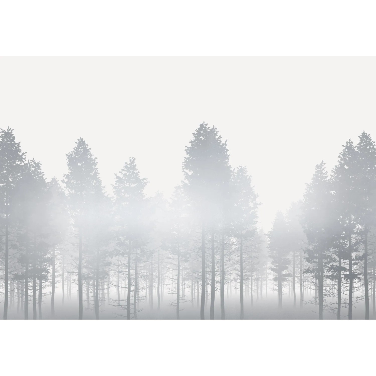 E-shop Komar Vliesová fototapeta Silver Haze 400 x 280 cm