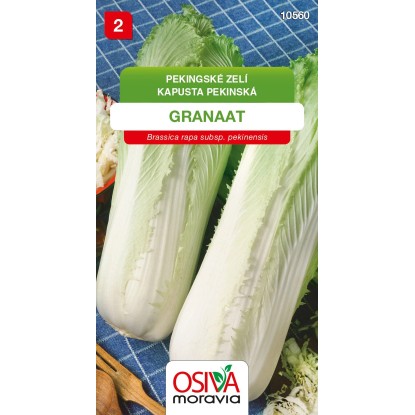 Semienka Kapusta pekingská Granaat (Brassica pekinensis)