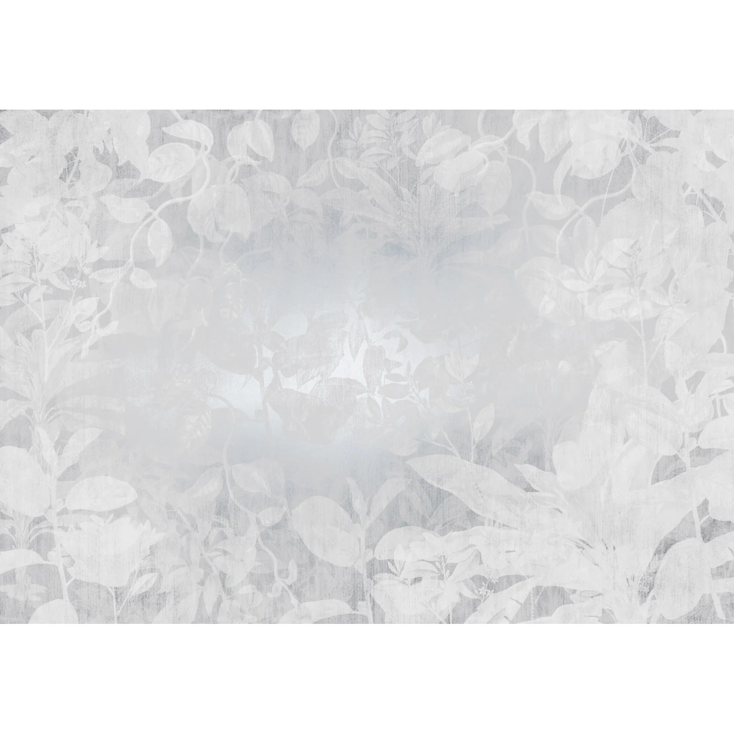 E-shop Komar Vliesová fototapeta Flora 400 x 280 cm