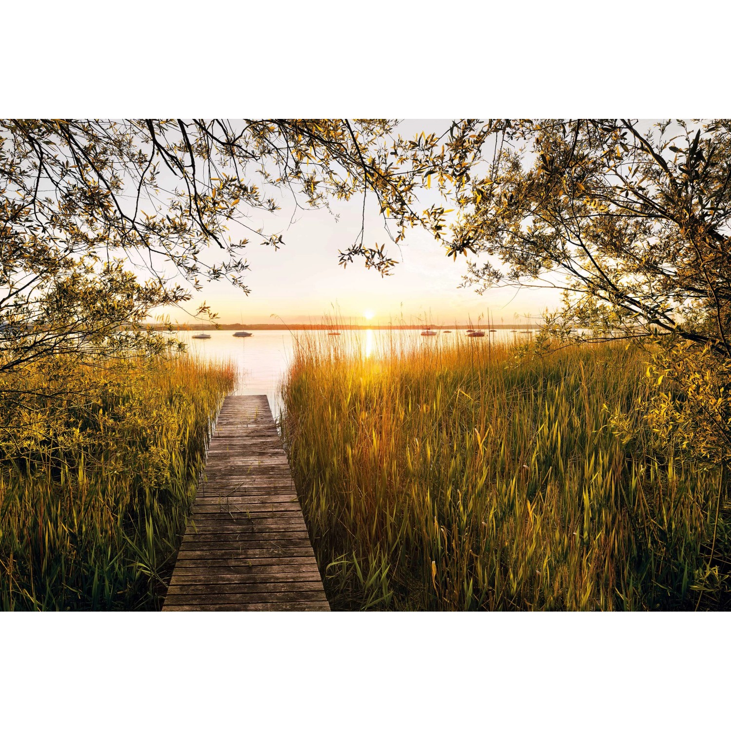 E-shop Komar Vliesová fototapeta Lakeside 400 x 260 cm