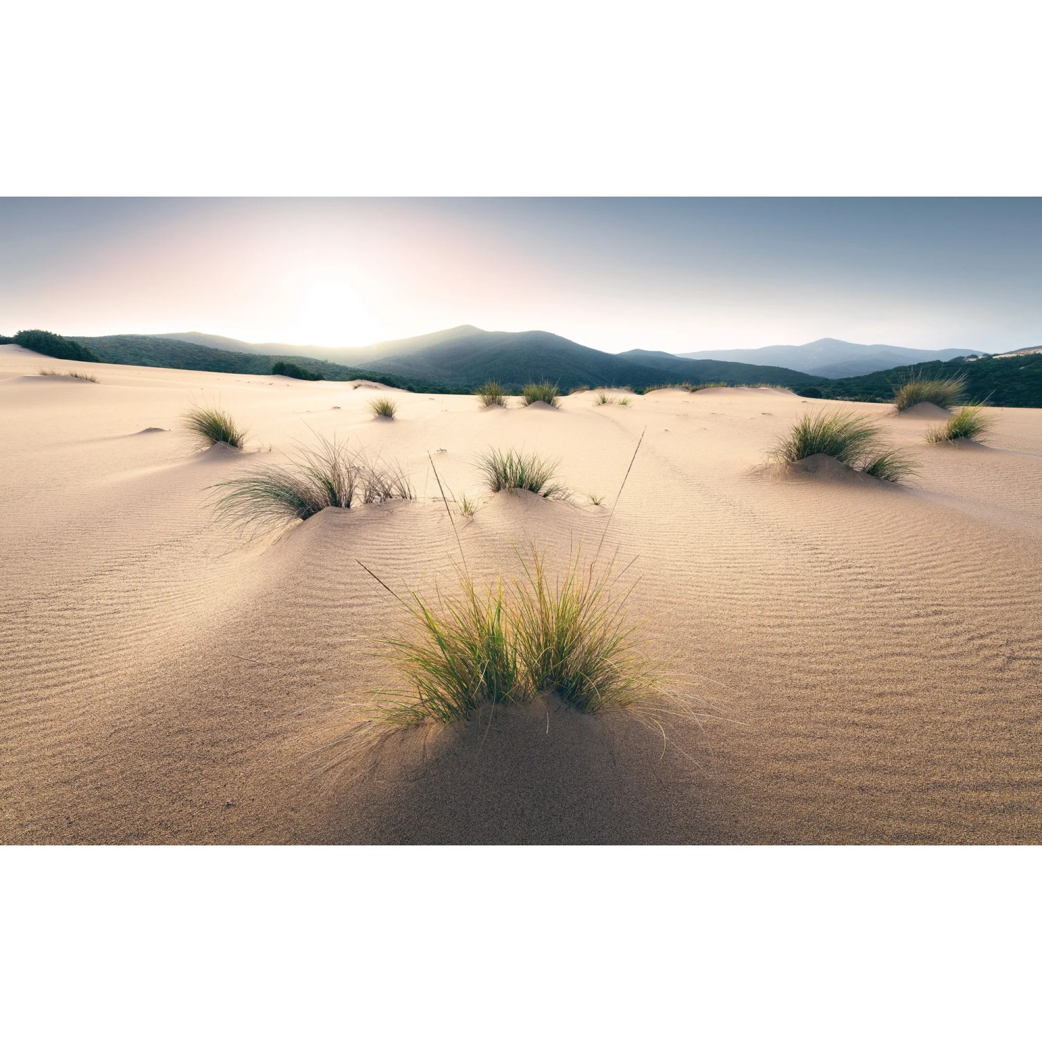 E-shop Komar Vliesová fototapeta Vivid Dunes 450 x 280 cm