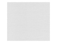 A. S. Creation Pretierateľná vliesová tapeta Meistervlies Creativ biela 246011