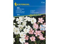 Kiepenkerl Semienka Gypsomilka úhľadná mix