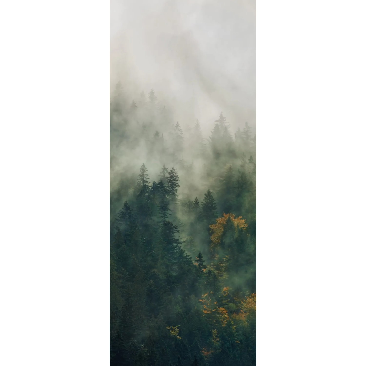 E-shop Komar Vliesová fototapeta Tales of the Carpathians, 100 x 250 cm