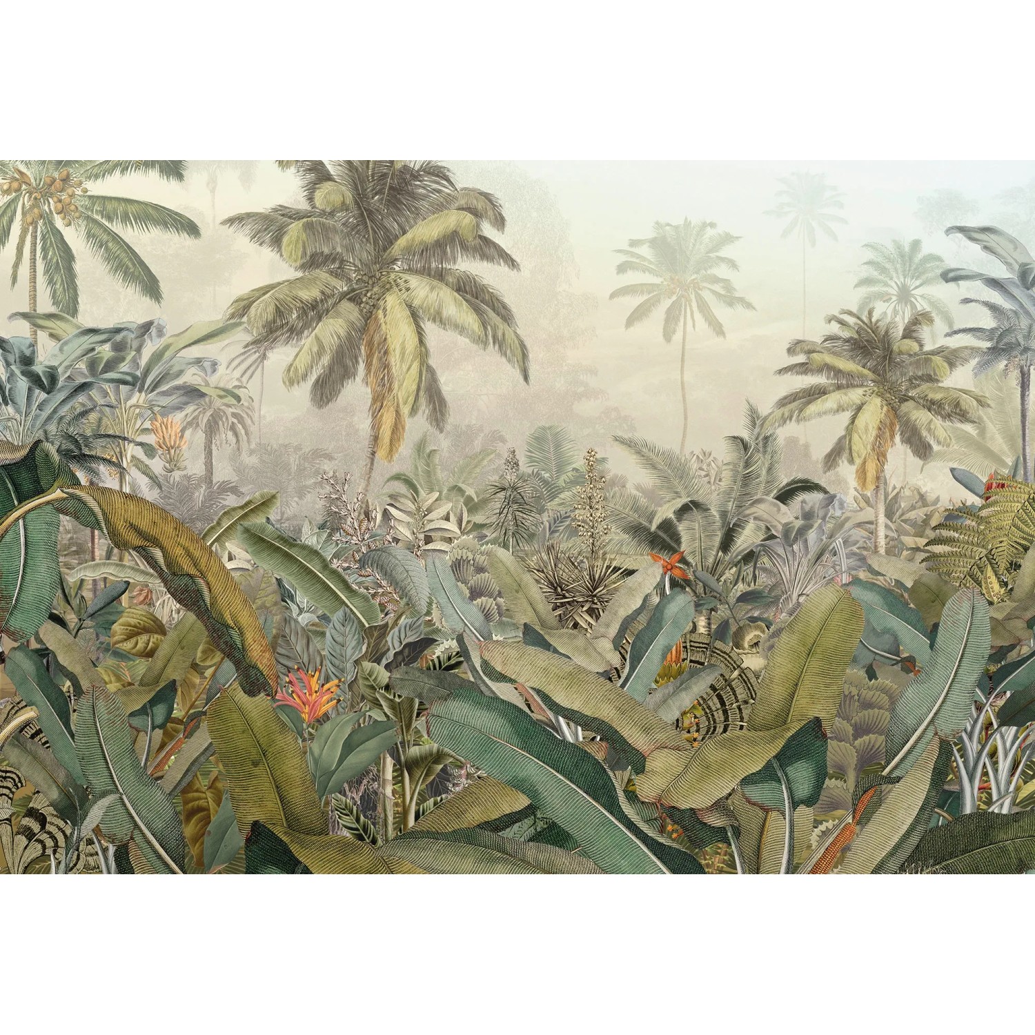 E-shop Komar Vliesová fototapeta Amazonia 368 x 248 cm