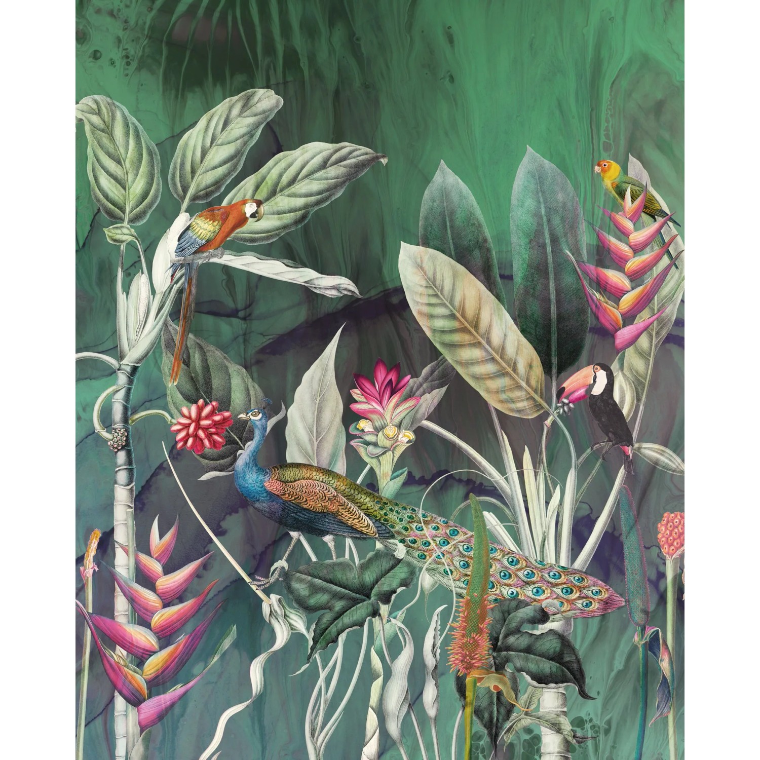 E-shop Komar Vliesová fototapeta Jungle Chat 200 x 250 cm