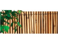 NOHEL GARDEN Rákosová rohož 1 x 5 m