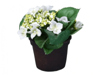 NOHEL GARDEN Umelý kvet Hortenzia LETO béžová, pr. kv. 15 cm