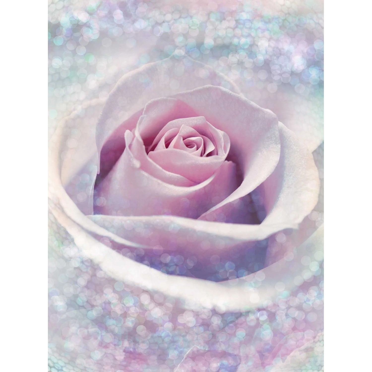 E-shop Komar Vliesová fototapeta Delicate Rose 200 x 260 cm