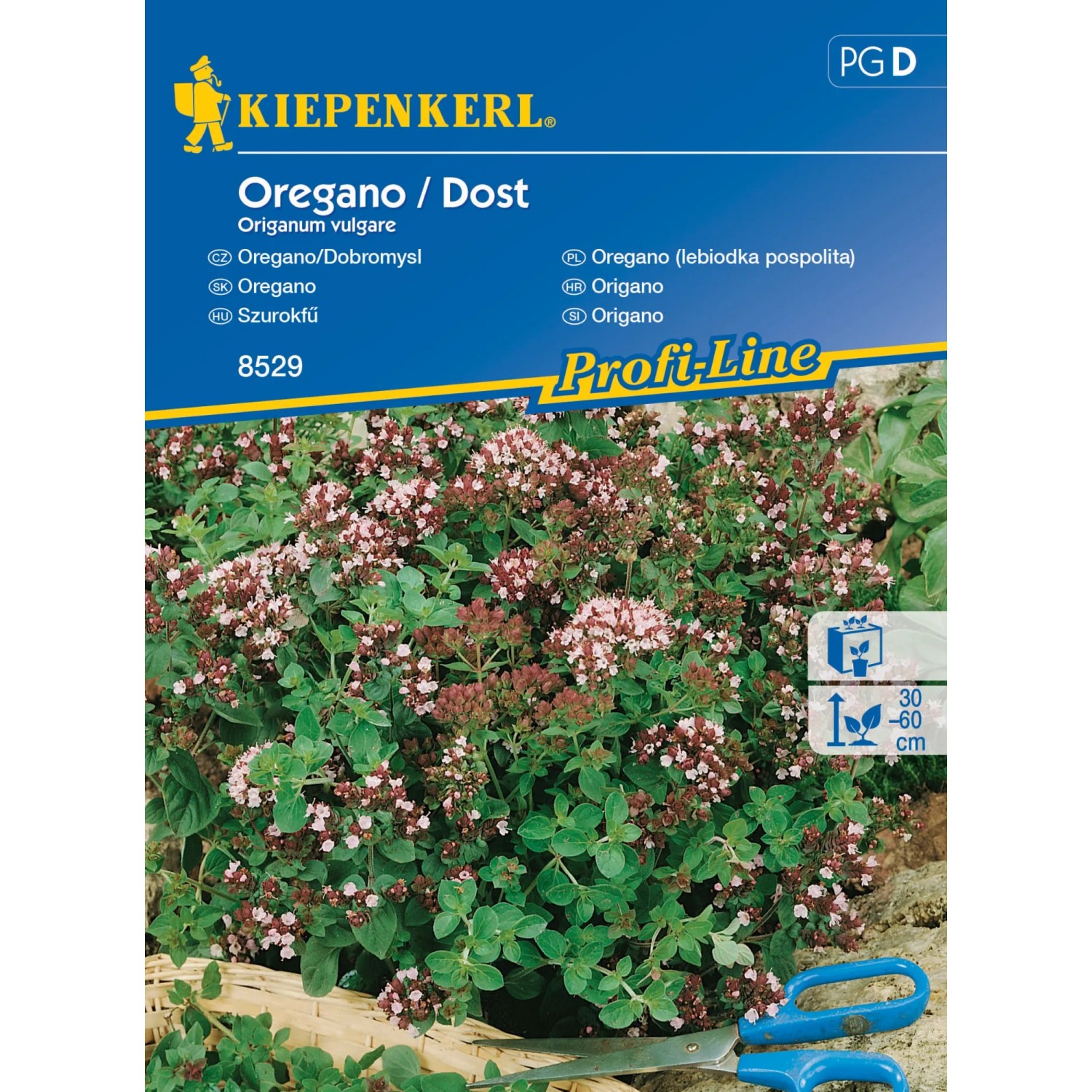 E-shop KIEPENKERL Oregano/ dobromyseľ (Origanum vulgare) viacročné
