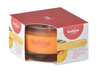 Bolsius Vonná sviečka v skle Mango 80 x 50 mm