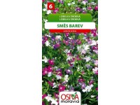 Semienka Lobelka drobná, zmes farieb (Lobelia erinus)