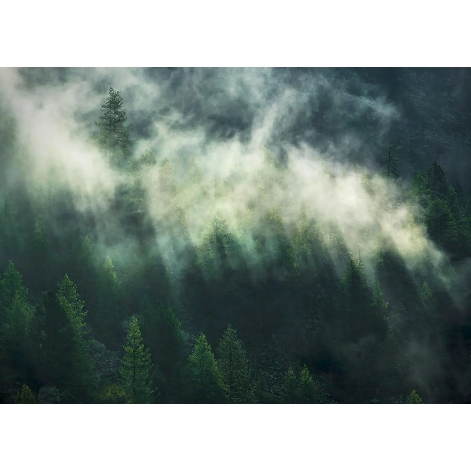 E-shop Komar Vliesová fototapeta Misty Crowns 350 x 250 cm