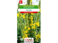Osiva Moravia Semienka Divozel veľkokvetý Zlata (Verbascum densiflorum)