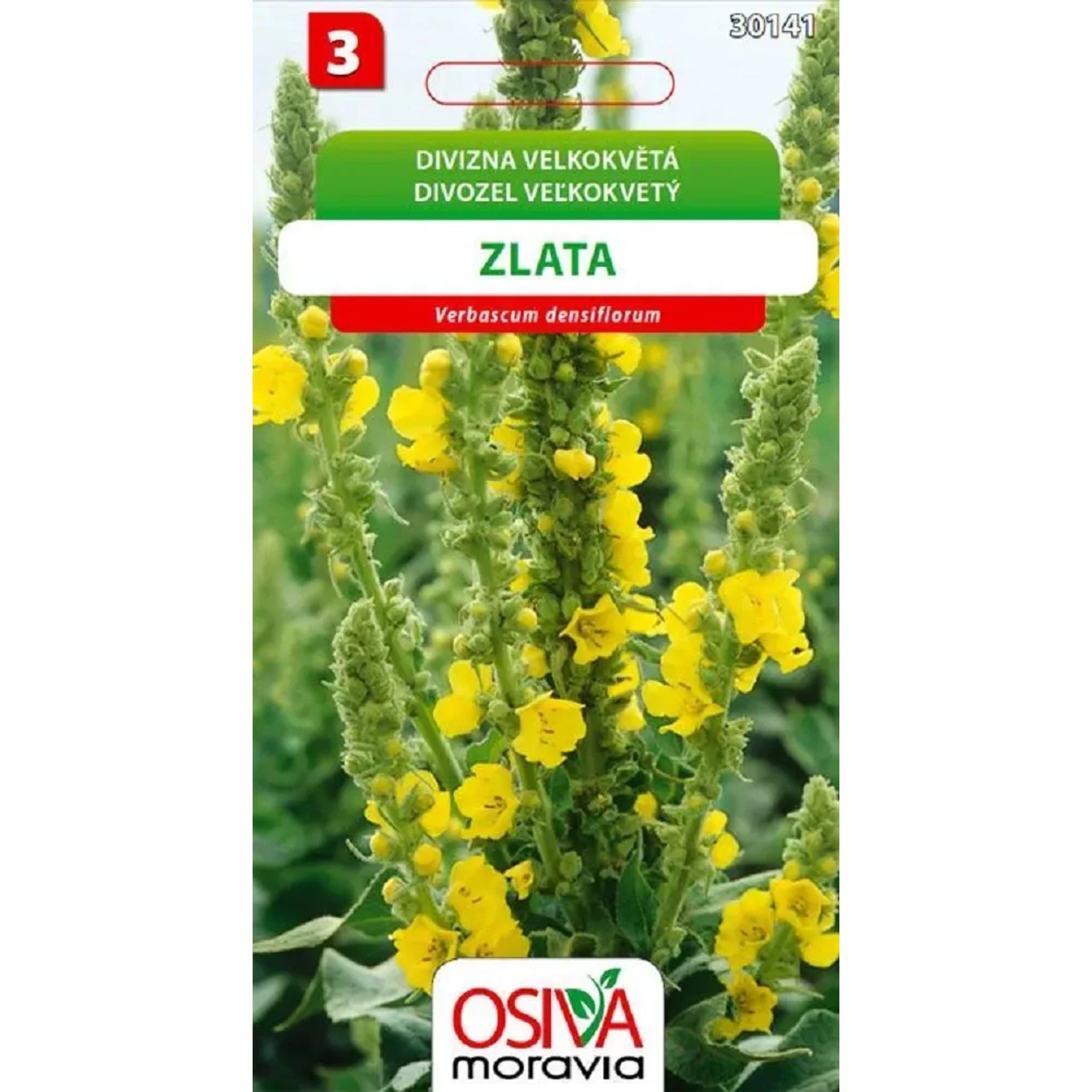 E-shop Osiva Moravia Semienka Divozel veľkokvetý Zlata (Verbascum densiflorum)