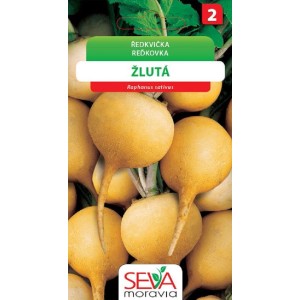 Semená žltej reďkovky, odroda t.b.t., na pestovanie zeleniny v záhrade.