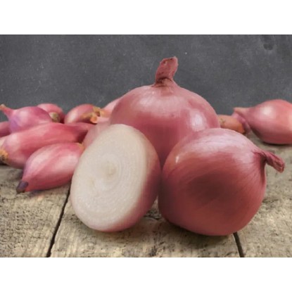 GardenSeed Premium Cibuľa sadzačka Rosanna 250 g