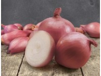 GardenSeed Premium Cibuľa sadzačka Rosanna 250 g