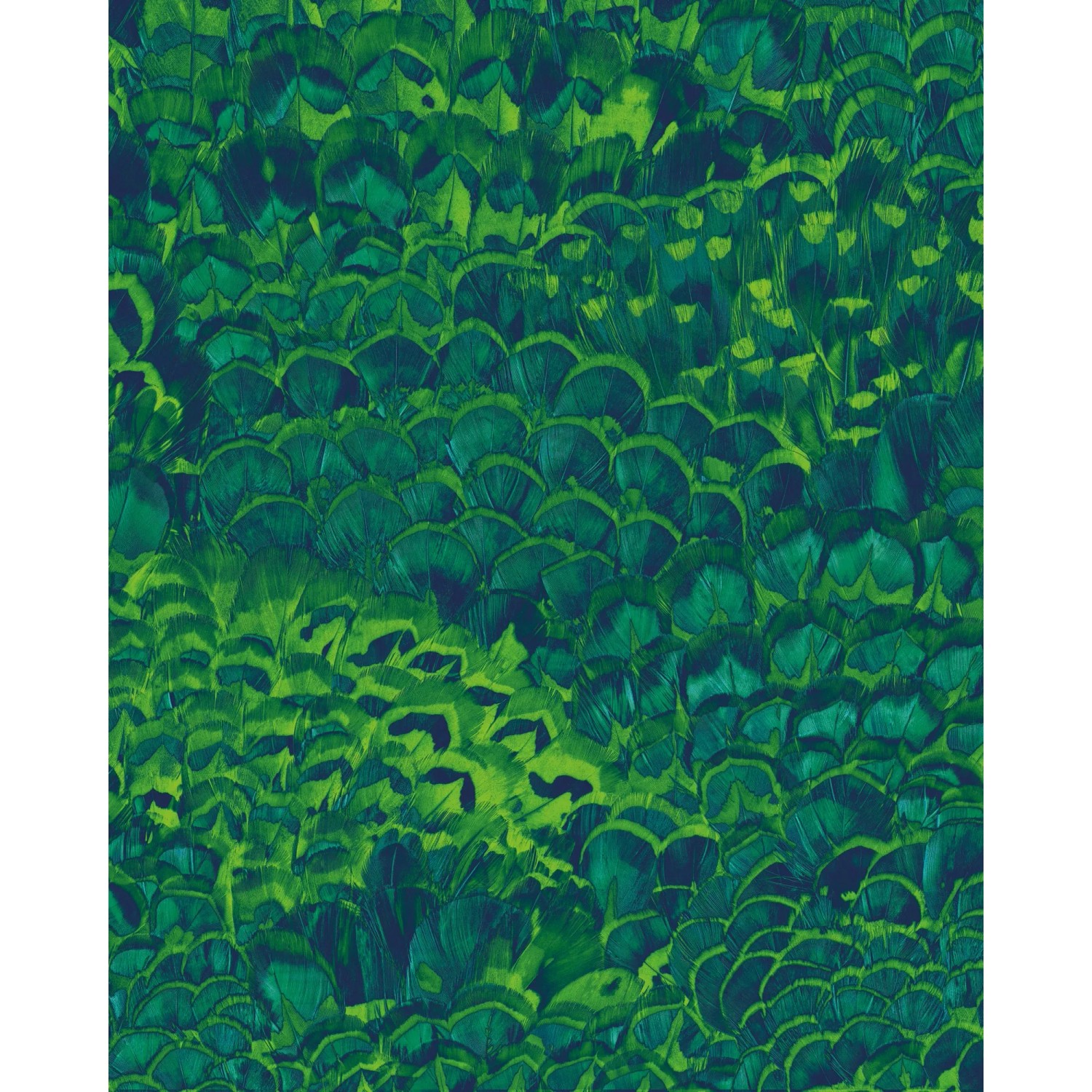 E-shop Komar Vliesová fototapeta Feathers 200 x 250 cm
