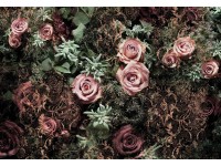 Komar Papierová fototapeta Velvet 368 x 254 cm