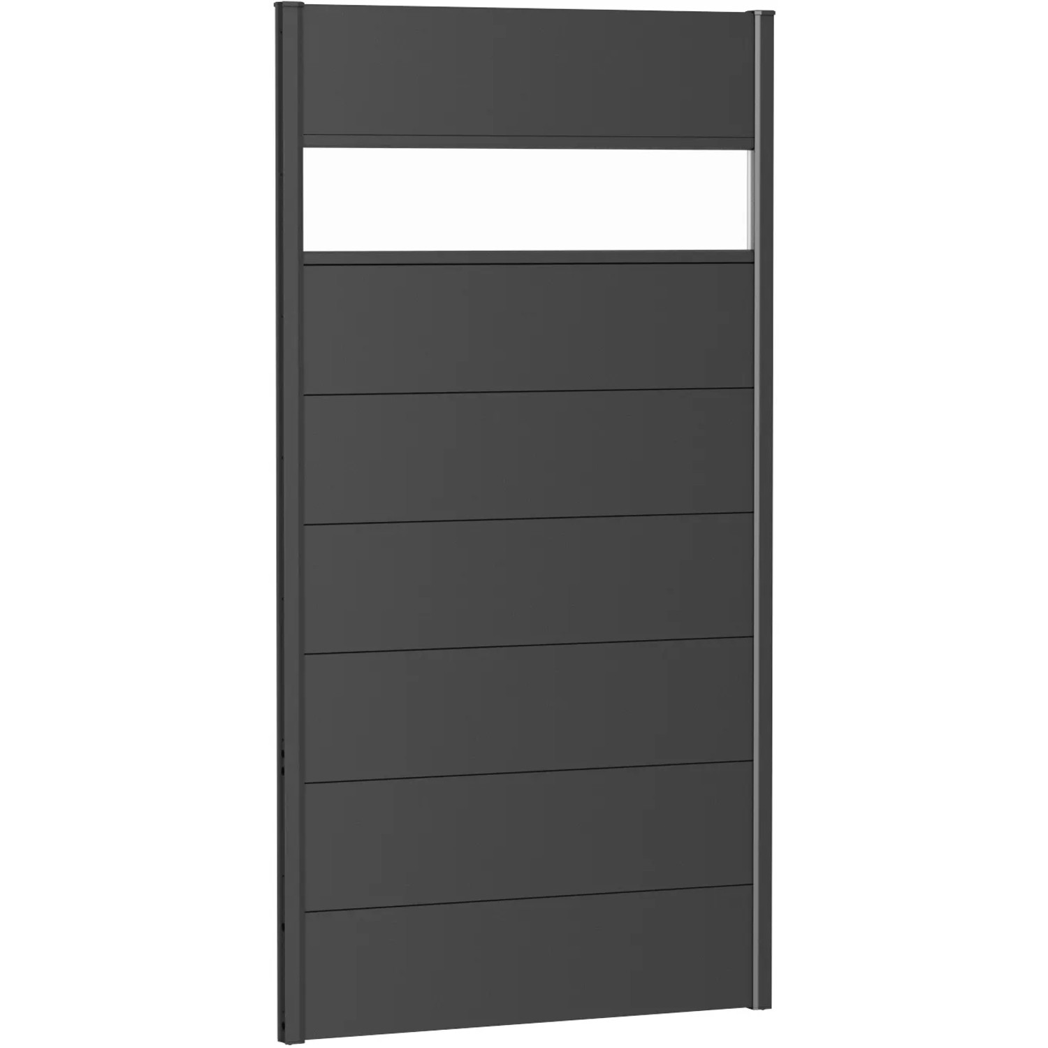 E-shop Biohort Plný plot s čiastočným presklením tmavo sivý, 100 x 180 cm