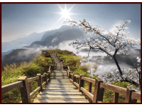 Bondecor Obraz Putframe Scenéria 50 x 70 cm